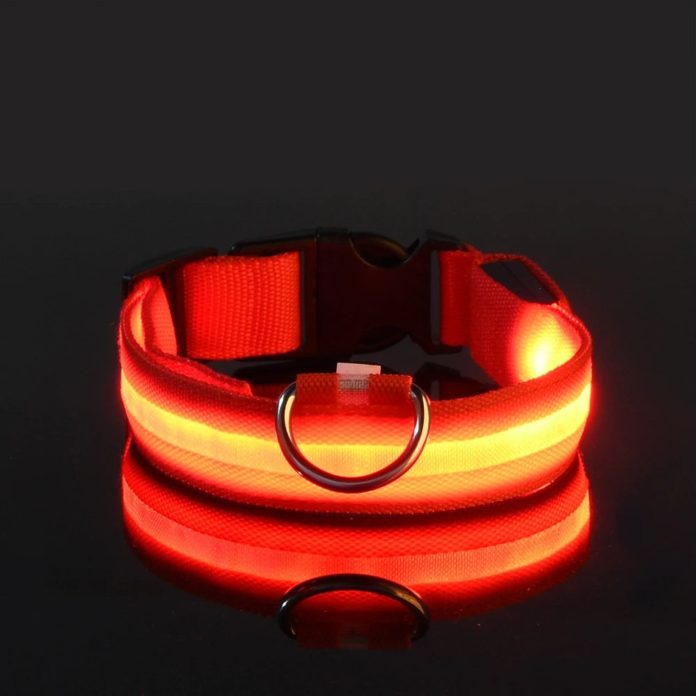 Premium LED Safety Dog Collar - Ultra-Bright Night Glow Technology | Keep Your Dog Visible & Safe During Evening Walks