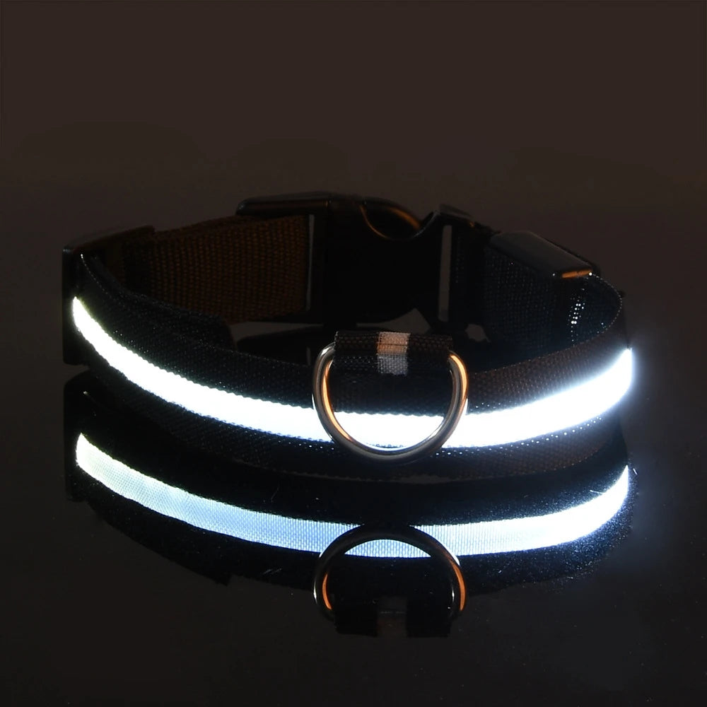 Premium LED Safety Dog Collar - Ultra-Bright Night Glow Technology | Keep Your Dog Visible & Safe During Evening Walks