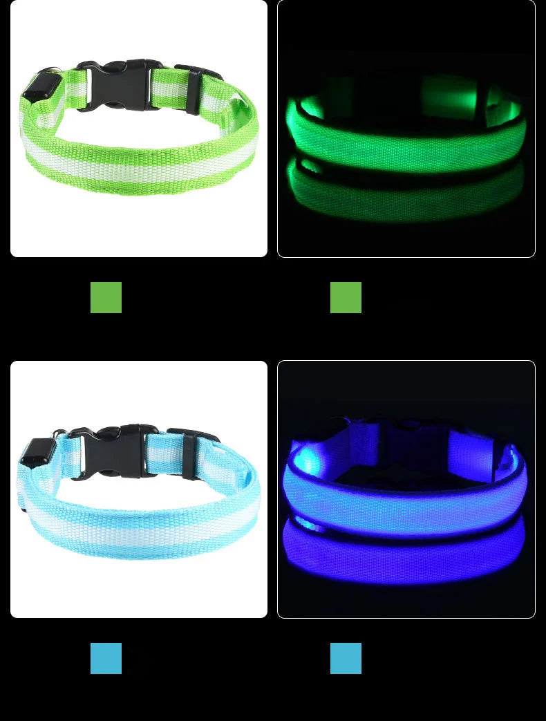 Premium LED Safety Dog Collar - Ultra-Bright Night Glow Technology | Keep Your Dog Visible & Safe During Evening Walks