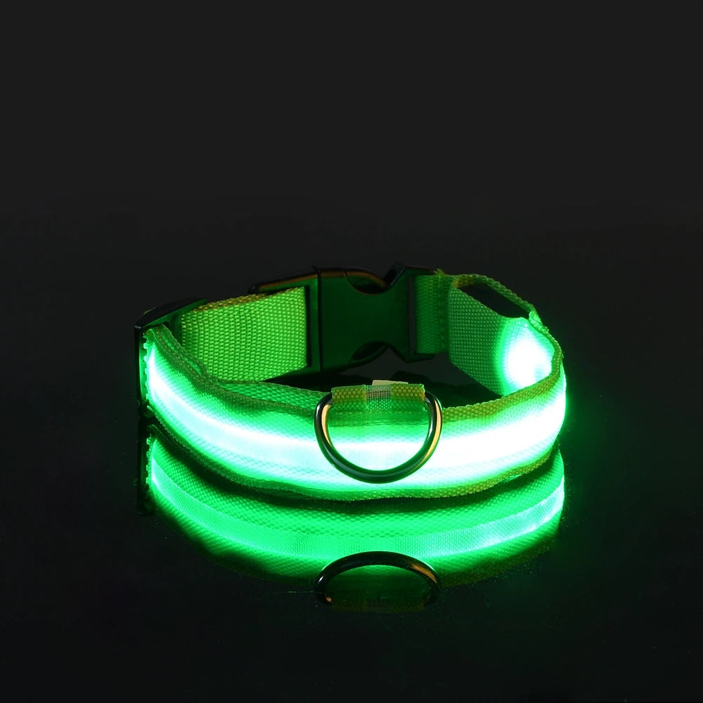 Premium LED Safety Dog Collar - Ultra-Bright Night Glow Technology | Keep Your Dog Visible & Safe During Evening Walks
