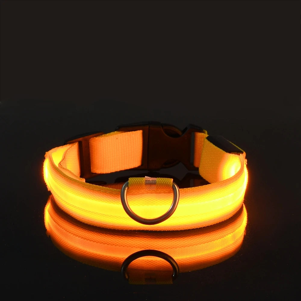 Premium LED Safety Dog Collar - Ultra-Bright Night Glow Technology | Keep Your Dog Visible & Safe During Evening Walks