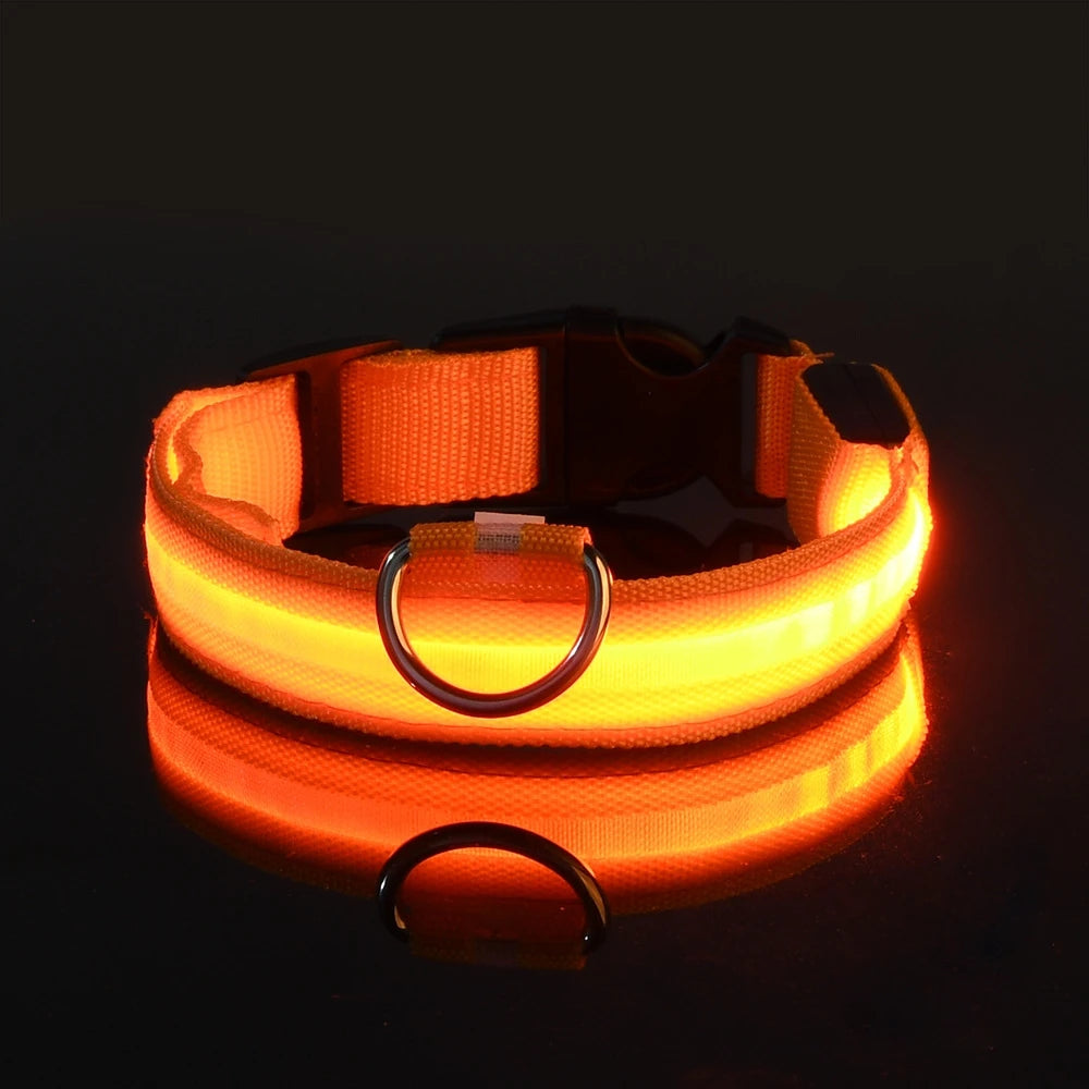 Premium LED Safety Dog Collar - Ultra-Bright Night Glow Technology | Keep Your Dog Visible & Safe During Evening Walks