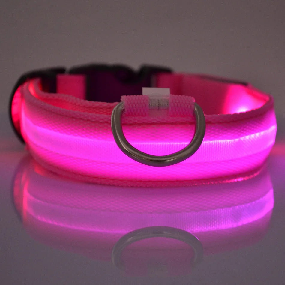 Premium LED Safety Dog Collar - Ultra-Bright Night Glow Technology | Keep Your Dog Visible & Safe During Evening Walks