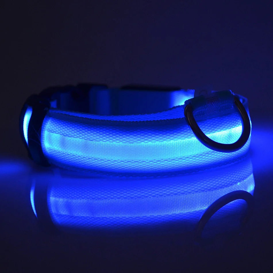 Premium LED Safety Dog Collar - Ultra-Bright Night Glow Technology | Keep Your Dog Visible & Safe During Evening Walks