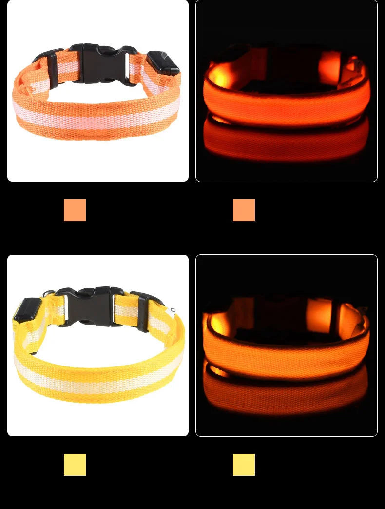 Premium LED Safety Dog Collar - Ultra-Bright Night Glow Technology | Keep Your Dog Visible & Safe During Evening Walks