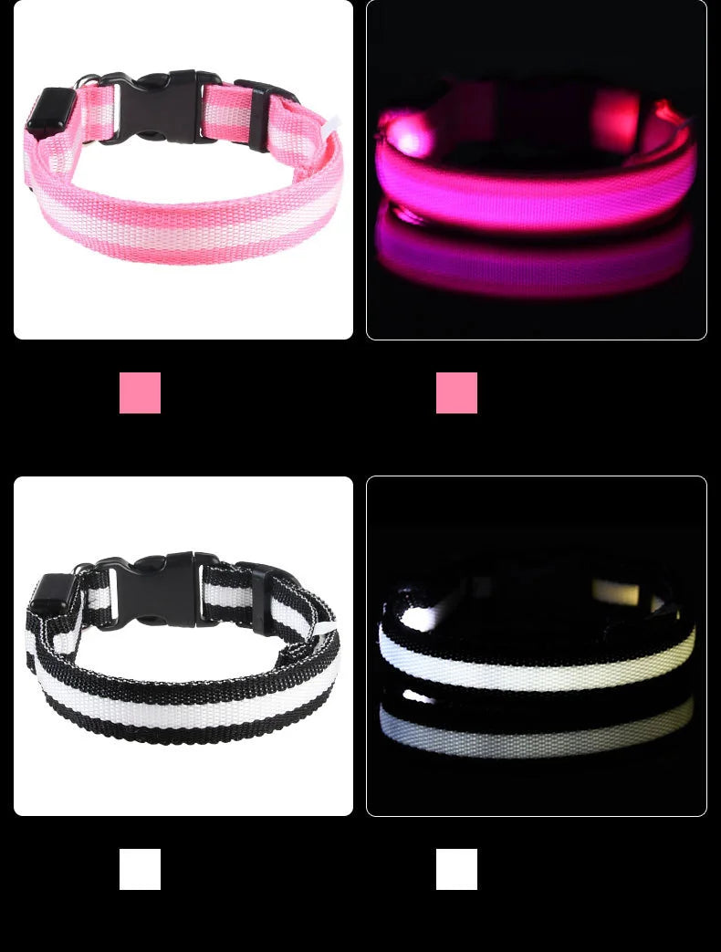 Premium LED Safety Dog Collar - Ultra-Bright Night Glow Technology | Keep Your Dog Visible & Safe During Evening Walks