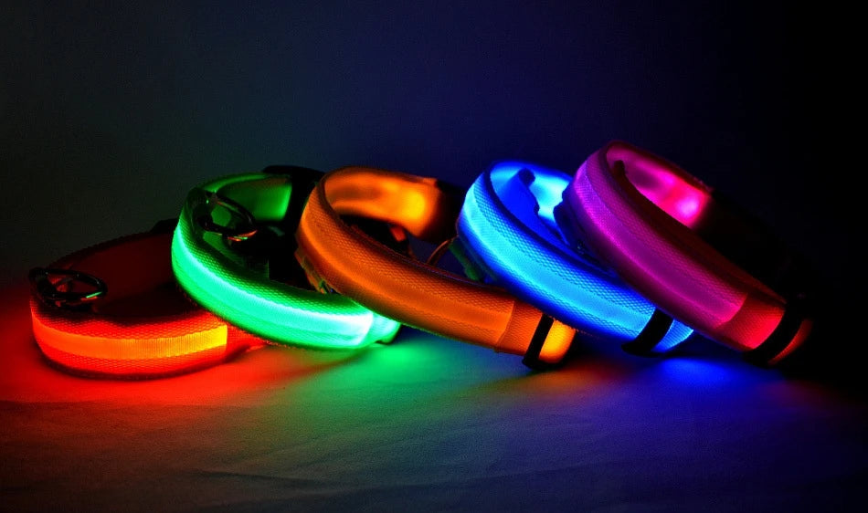 Premium LED Safety Dog Collar - Ultra-Bright Night Glow Technology | Keep Your Dog Visible & Safe During Evening Walks