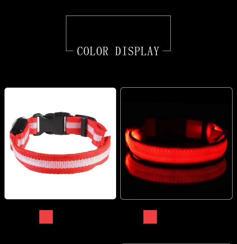 Premium LED Safety Dog Collar - Ultra-Bright Night Glow Technology | Keep Your Dog Visible & Safe During Evening Walks